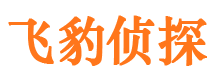 双清市侦探调查公司